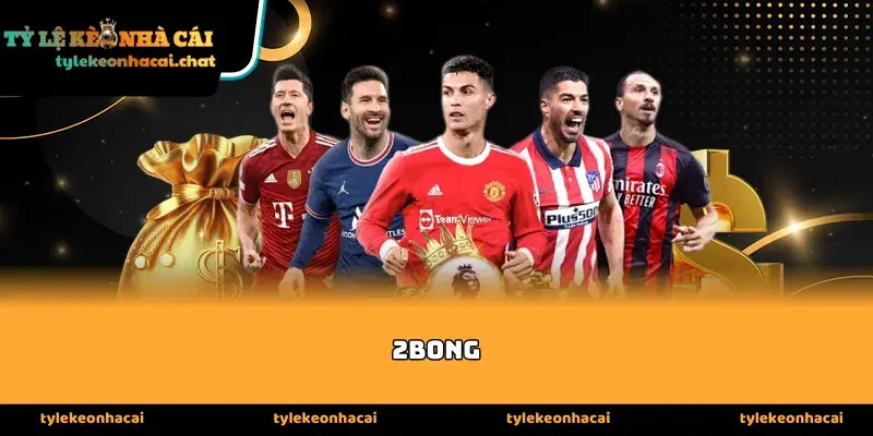 Vai trò cốt lõi của 2bong trong hệ sinh thái cá cược