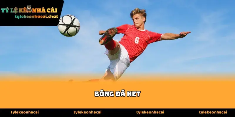 Tổng quan về hệ sinh thái thông tin của bóng đá net