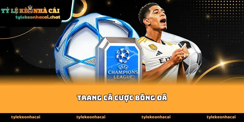 Tiêu chí đánh giá một Trang cá cược bóng đá chuyên nghiệp