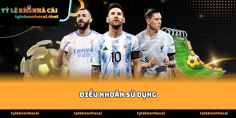 dieu khoan su dung1 Luật chơi và quy định trong Điều khoản sử dụng dịch vụ