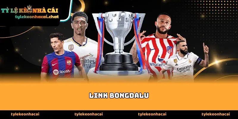 Tại sao link bongdalu thường xuyên gặp sự cố truy cập?